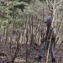 원순농장 이미지