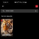 새보건약국 이미지