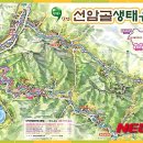 선암골 이미지