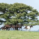 농업농촌연구소봄날