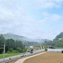 매화산목장 네이버블로그