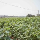 하누리마을 이미지