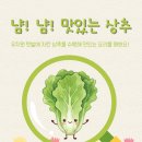 바른나무유치원