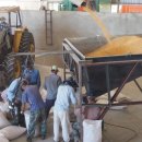 곡물농장 이미지