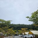 전곡농협 백학주유소 이미지