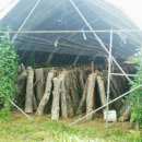 다남동마을회영농조합법인 이미지