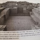 처음 읽는 수영 세계사 / 에릭 샬린
