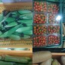 농부의아침영농조합법인 네이버블로그
