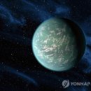 강진슈퍼 이미지