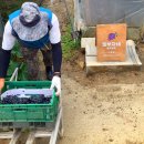 박흥수농장 이미지