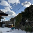 작은집 요기 이미지