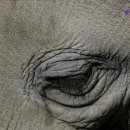 성서씨엘의원 이미지