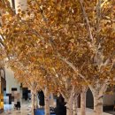 오로라약국 이미지