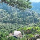 삼릉약국 이미지