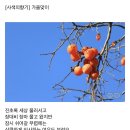 오늘의 小史 이미지