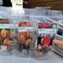 (동서남북)작은 생태계 테라리움 만들기 | 남포동공방 부산테라리움 쏘슬로우플랜트랩 체험후기