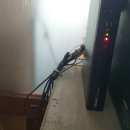 신사빌리어드 이미지