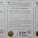 대전외국어번역행정사사무소 이미지