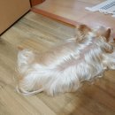 신행정사사무소 이미지