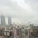 4박5일 도쿄여행 day2) 도쿄 디즈니랜드 후기, 어플사용방법, 디즈니랜드 식당추천 /미츠코시백화점...