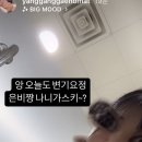 유경약국 이미지