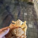 카페니모 이미지