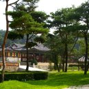 새소리 물소리 이미지