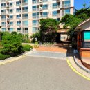세월천로25번길 Daum카페