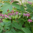 관문사거리 이미지