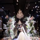 (주)비비안 | 비비안웨딩 디노체컨벤션 본식 스냅 후기