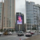 블루펄빌딩 네이버블로그