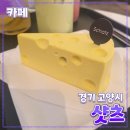 샷츠 | 경기 고양시 [샷츠] 카페 // 일산 중앙로 정발산역 일산문화광장