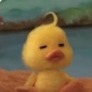 Let‘s go 레고 이미지