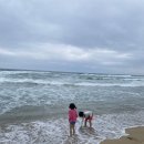 델루와 | 사람 많지 않아 더 좋았던 동해 망상해수욕장 & 델루와 호텔 숙박 후기🩵💙