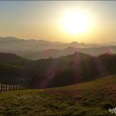 은행나무목장 이미지