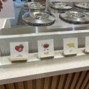 젤라떼리아사우스브룩연산 이미지