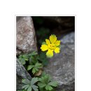 하늘새카페 이미지