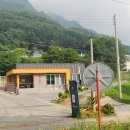 윗대이리 이미지