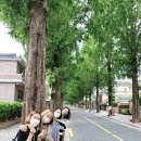 &#39;나아가는 힘&#39;을 선물받은 10주, 온중급7기 종강!