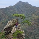 9정맥11차＜17＞/금남2(백령고개~엄사리)56km..가을이 깊어가지만.. 이미지