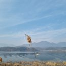 강산회 Daum카페
