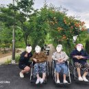 케어스힐요양병원 | "민속촌로 173병상" 케어스힐요양병원, 보라동에서 조용함만 보면 안 됨
