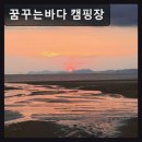 꿈꾸는바다 | 충남 태안군 바다캠핑장 추천 꿈꾸는바다 캠핑장 깨끗한 시설과 멋진 오션뷰가 인상적이에요