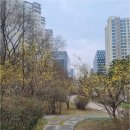 판교정원공인중개사사무소 | 이사 고민될 때, 봇들9단지어울림 찾기: 판교역 푸르지오그랑블부터 백현2단지까지