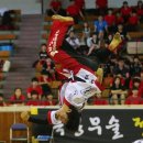 드림특공무술