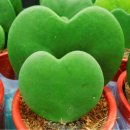 법동종합사회복지관 이미지