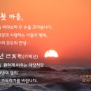 안심행정사사무소 이미지