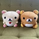 오다있소 | 다이소에 다있소