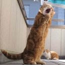 공감실용음악학원 이미지