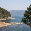 산청(통영) 이미지